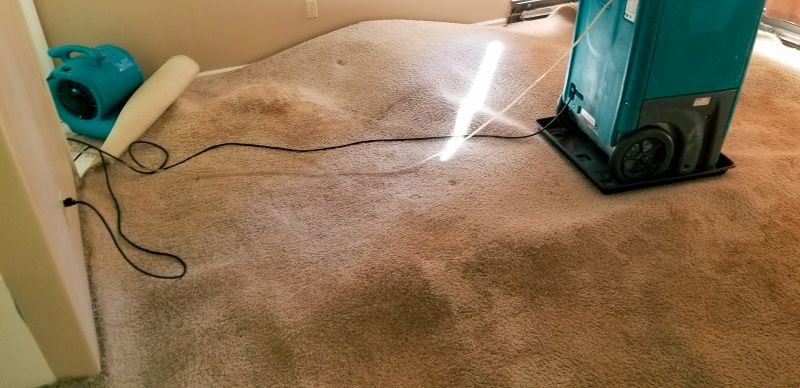 Emergency Stain Removal